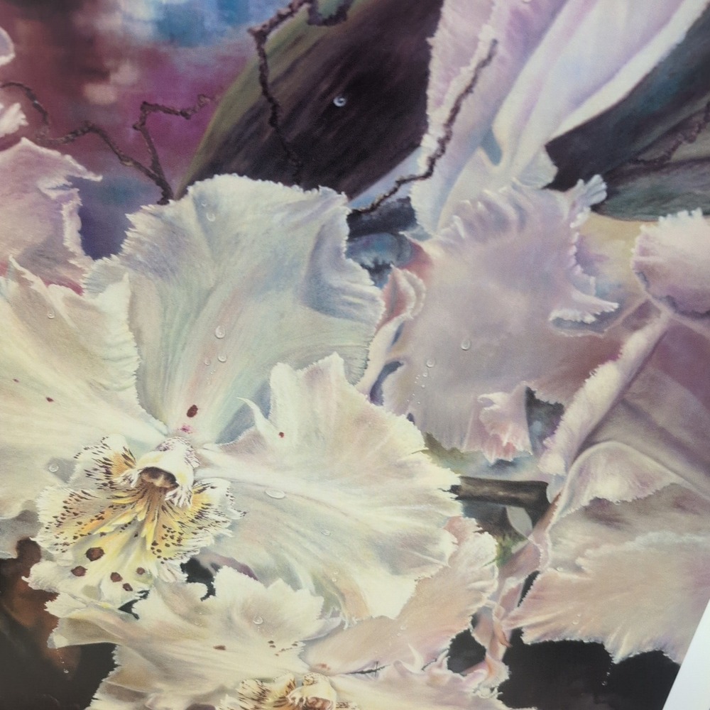 Sonia Torres Limited Ed Signed Hummingbird Odontoglossum Crispum Artist's Print‎ - Picture 2 of 8